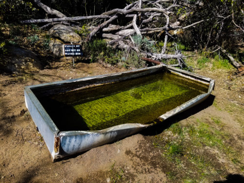 A water trough on the Pacific Crest Trail