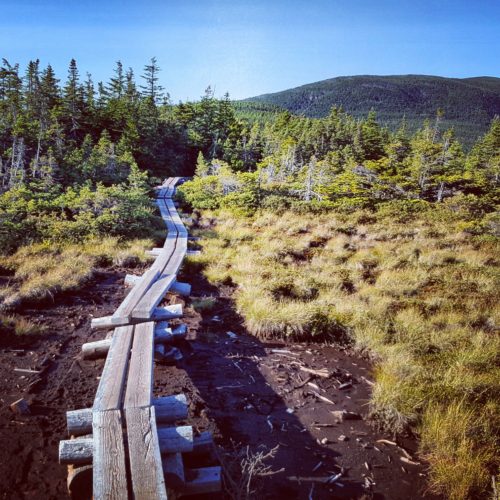 Boardwalk along mountain trail